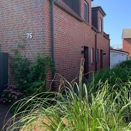 Apartament Suedstrandhus Urlaub Mit Hund 4 Oben