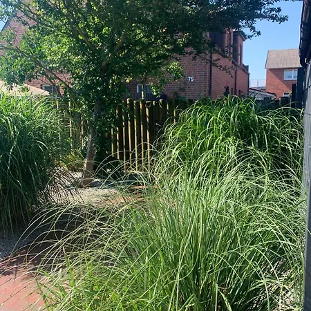 Suedstrandhus Urlaub Mit Hund 4 Oben شقة *