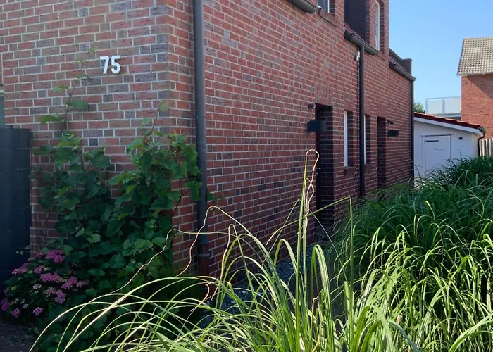 Apartament Suedstrandhus Urlaub Mit Hund 4 Oben