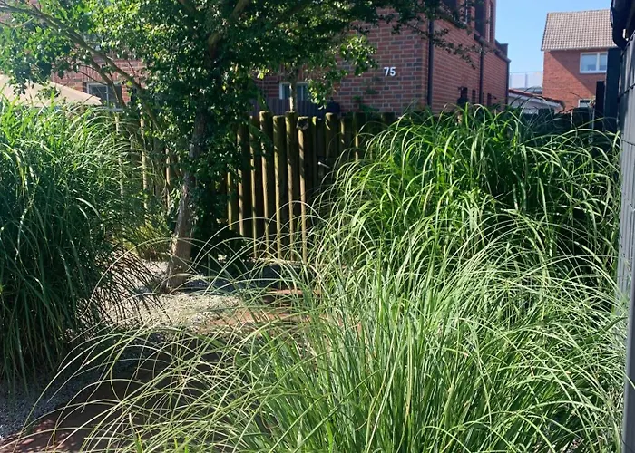 Suedstrandhus Urlaub Mit Hund 4 Oben Apartament *